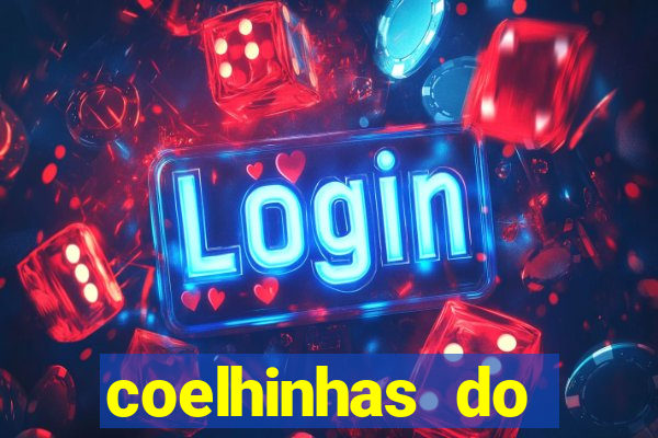 coelhinhas do brasil recife